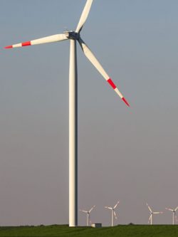 windfarm